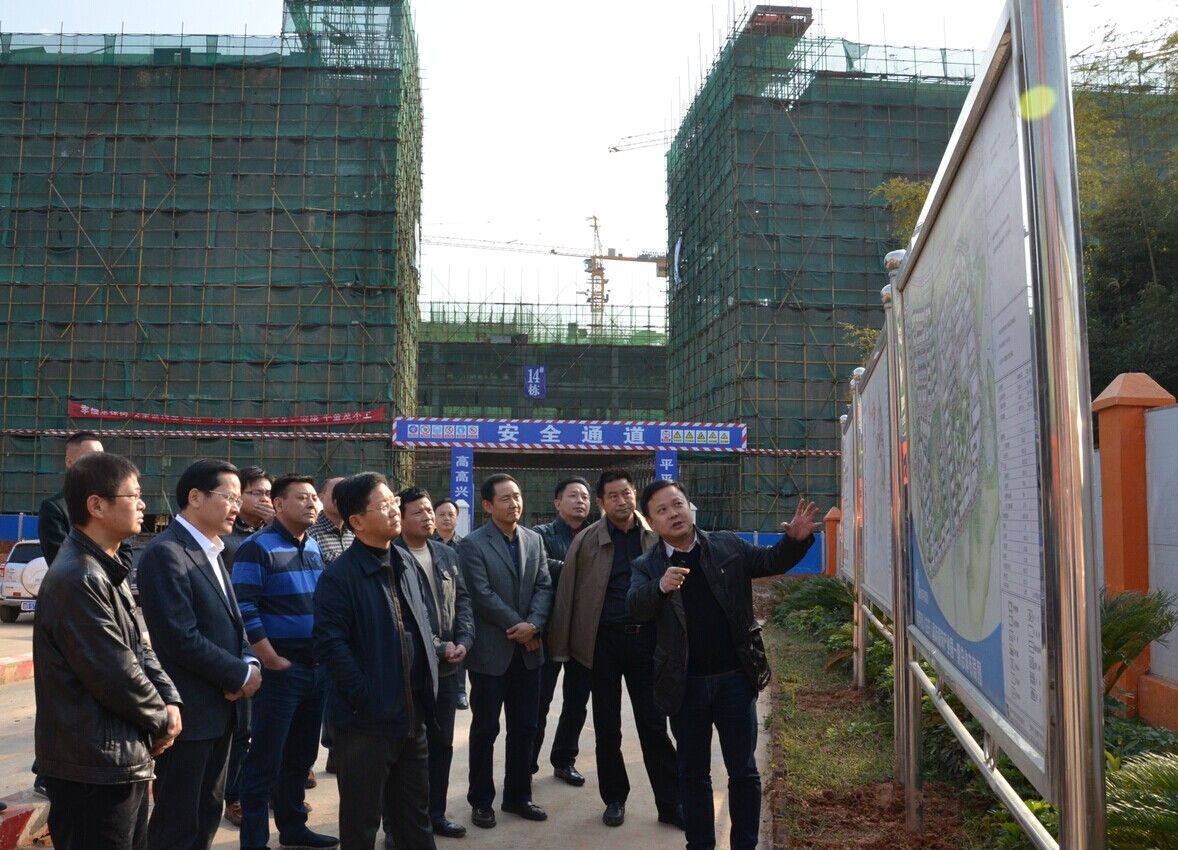 市委常委、常務副市長趙文彬調(diào)研航空、服飾東部新城