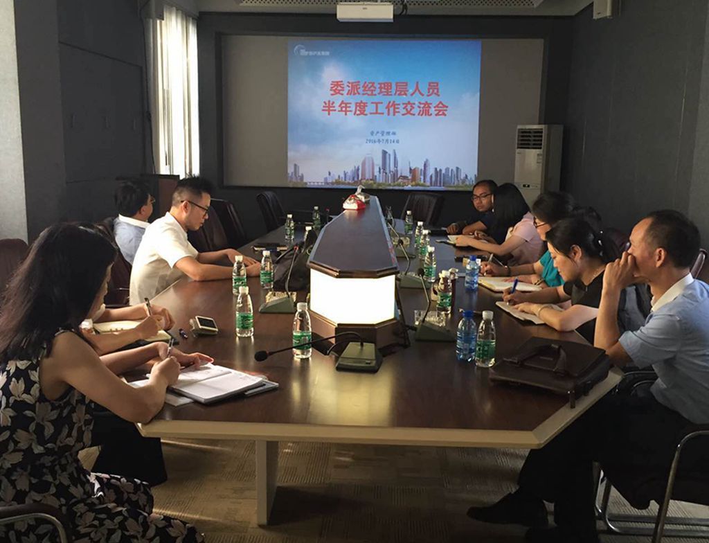 新蘆淞集團召開委派經(jīng)理層人員半年度工作交流會